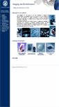 Mobile Screenshot of bio-imaging.liacs.nl